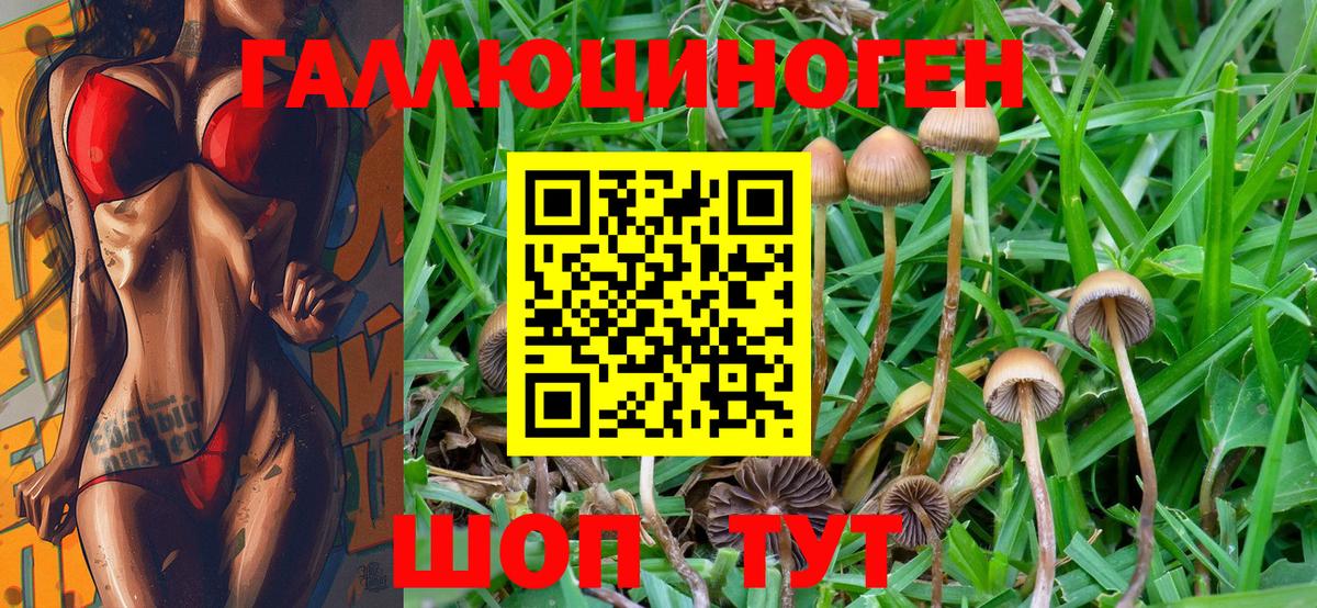 Тутаев  Галлюциногенные грибы Magic Shrooms  Вход с VPN 