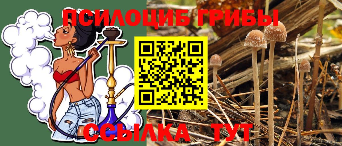 Галлюциногенные грибы Magic Shrooms Тутаев